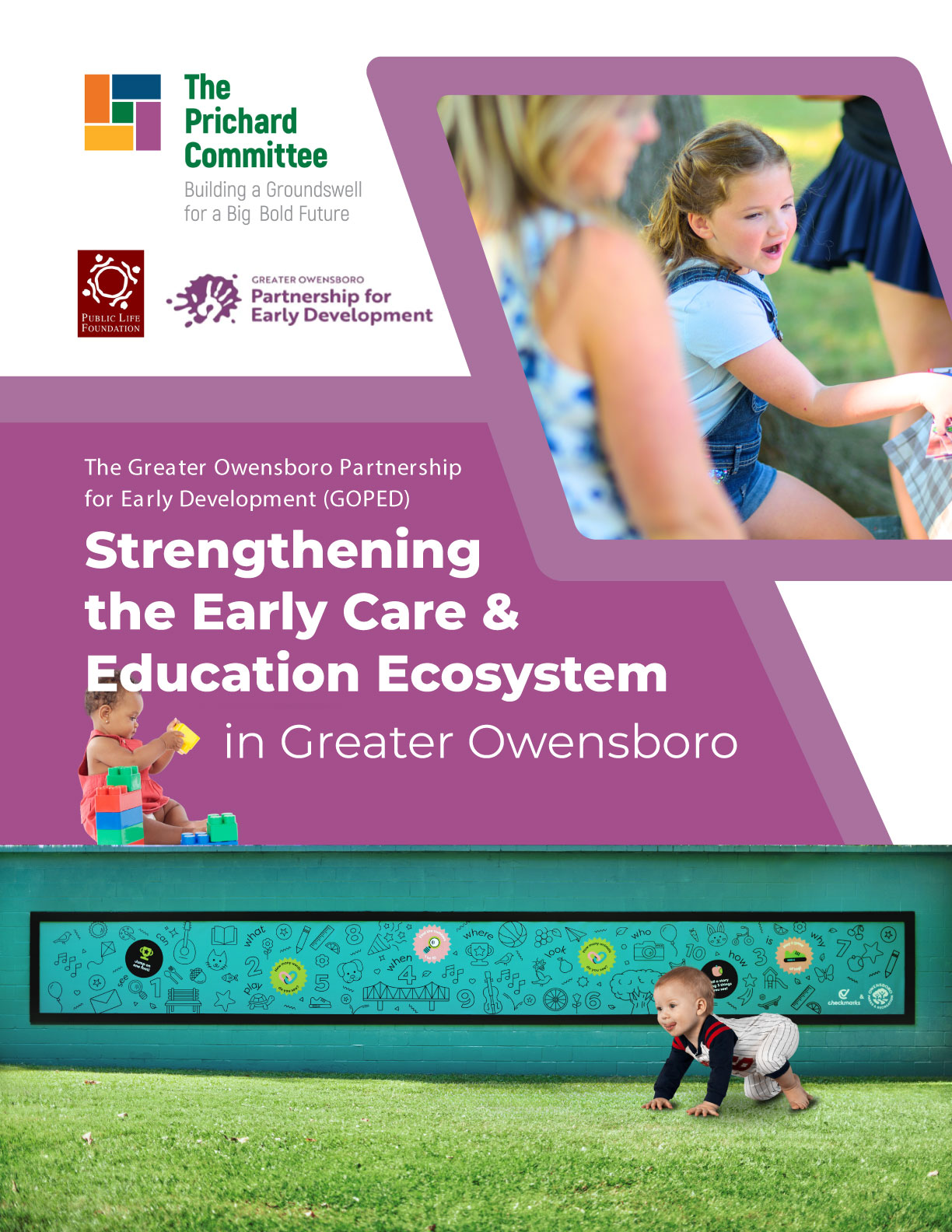 GOPED 2025 Final Report V3.COVER