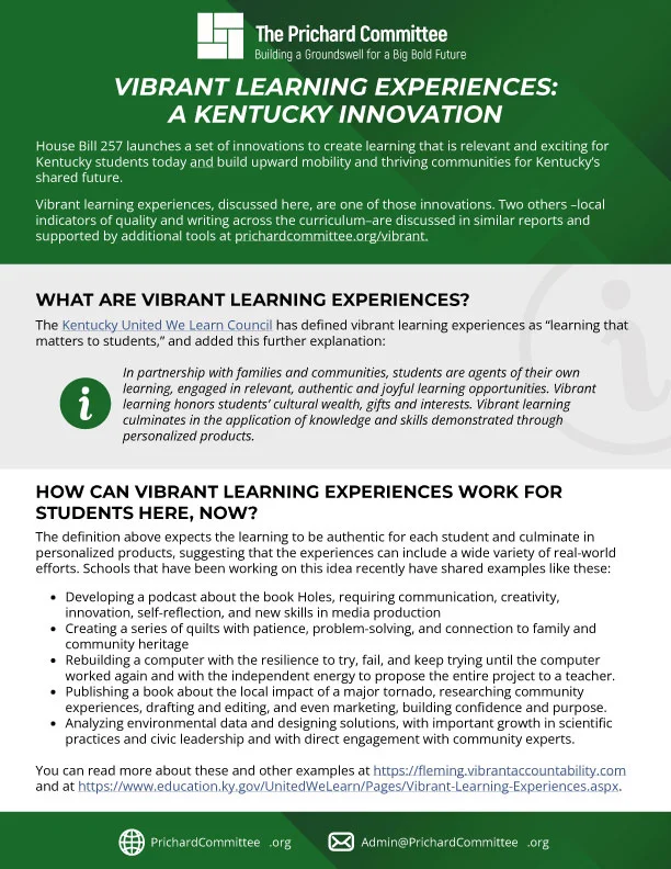 Vibrant Learning Experiences
